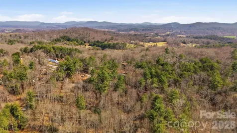 00002 Ray Hill Road Mills River NC 28759