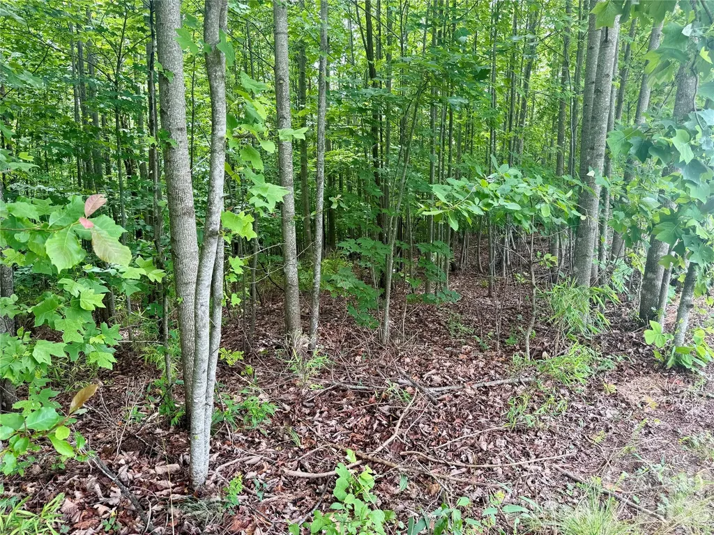 V/l Scenic Vista Drive Nebo NC 28761
