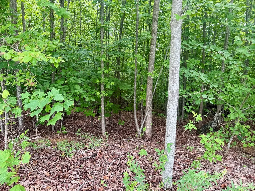 V/l Scenic Vista Drive Nebo NC 28761