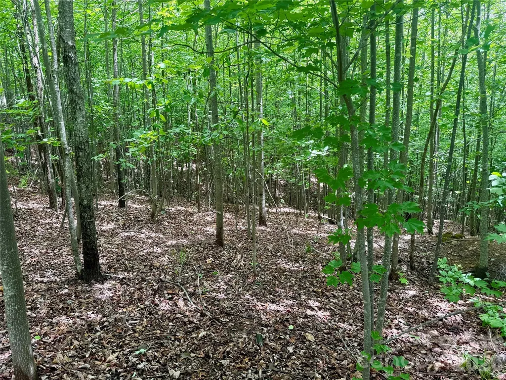 V/l Scenic Vista Drive Nebo NC 28761