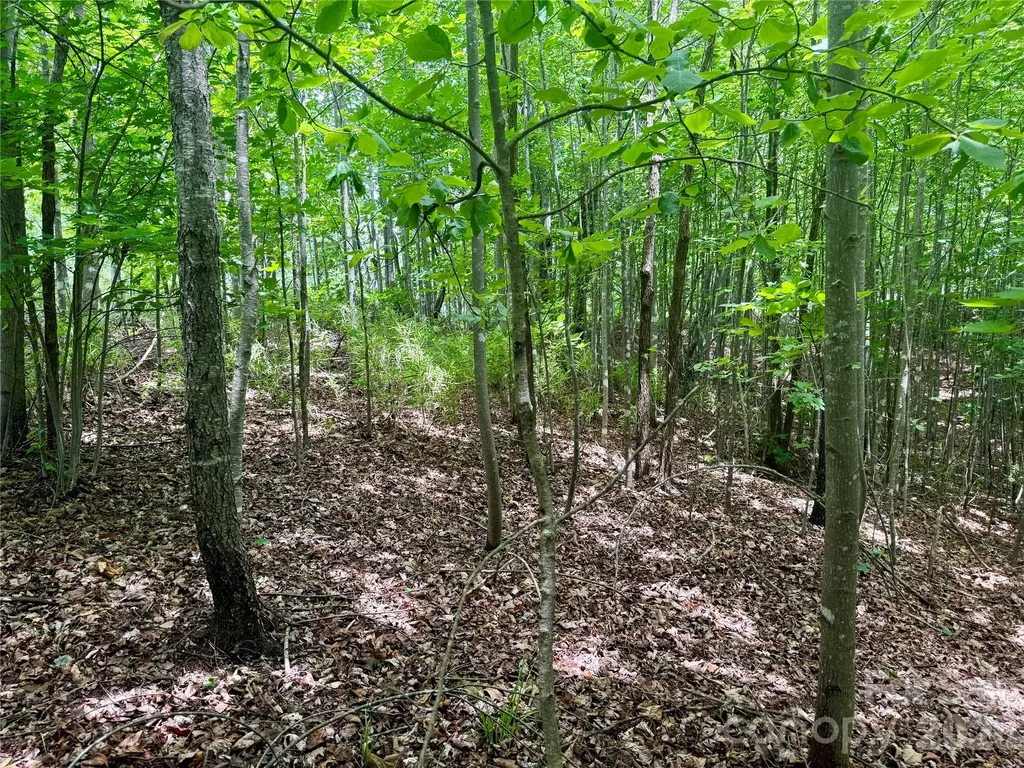 V/l Scenic Vista Drive Nebo NC 28761