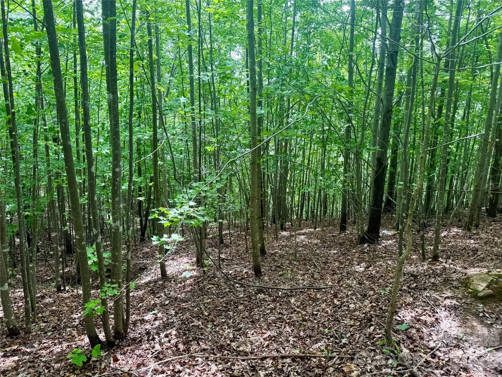V/l Scenic Vista Drive Nebo NC 28761