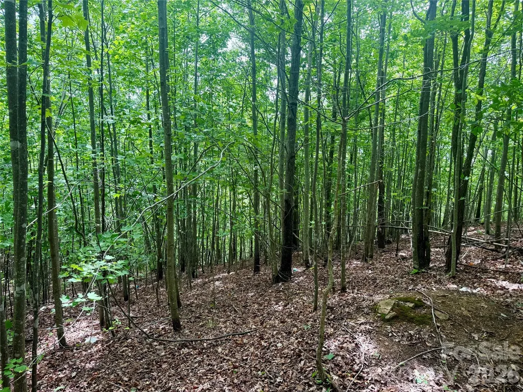 V/l Scenic Vista Drive Nebo NC 28761