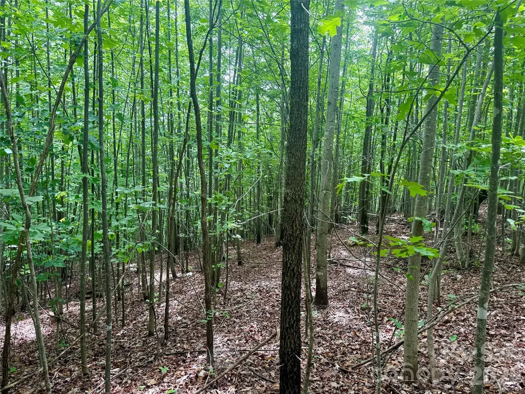 V/l Scenic Vista Drive Nebo NC 28761