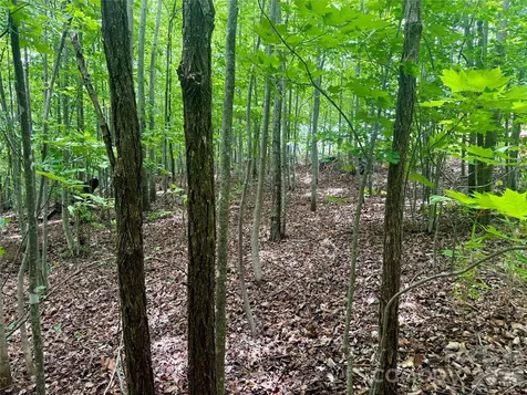V/l Scenic Vista Drive Nebo NC 28761