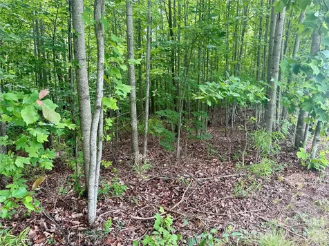 V/l Scenic Vista Drive Nebo NC 28761