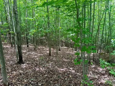 V/l Scenic Vista Drive Nebo NC 28761