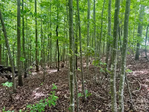 V/l Scenic Vista Drive Nebo NC 28761