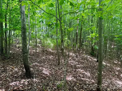 V/l Scenic Vista Drive Nebo NC 28761