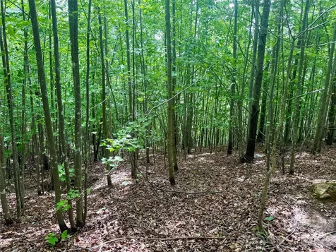 V/l Scenic Vista Drive Nebo NC 28761