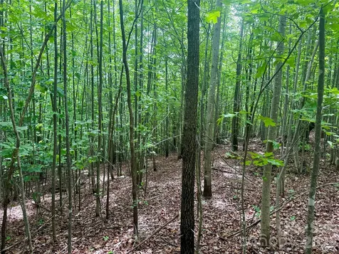 V/l Scenic Vista Drive Nebo NC 28761