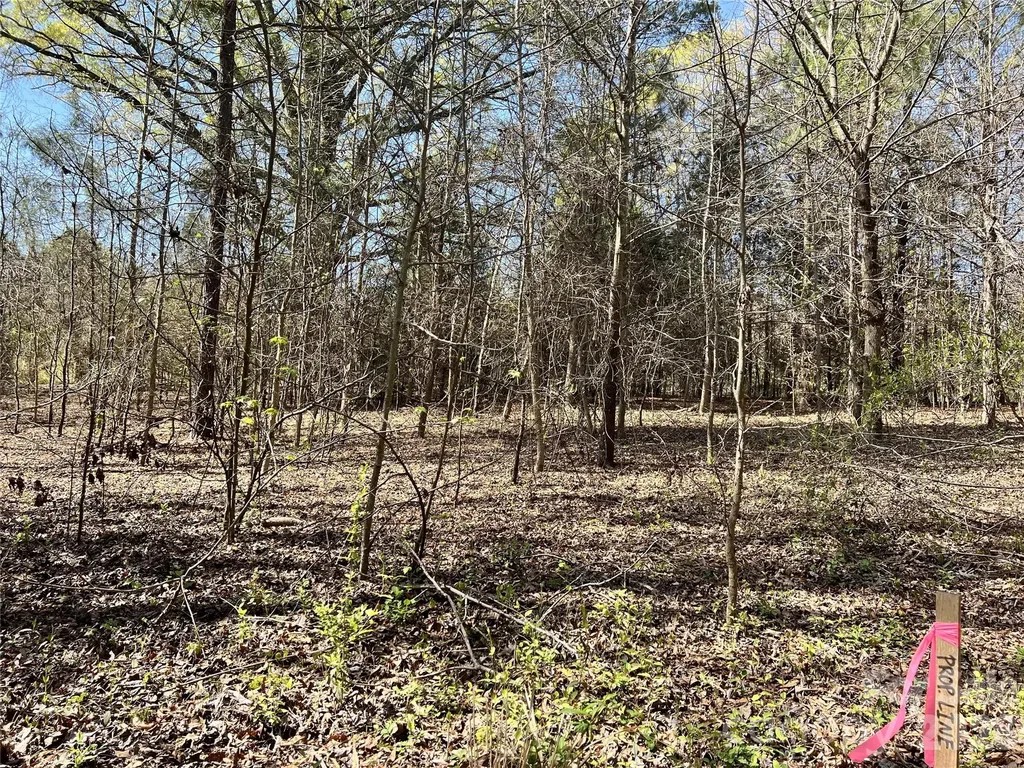 8334 Victoria Lake Drive Waxhaw NC 28173