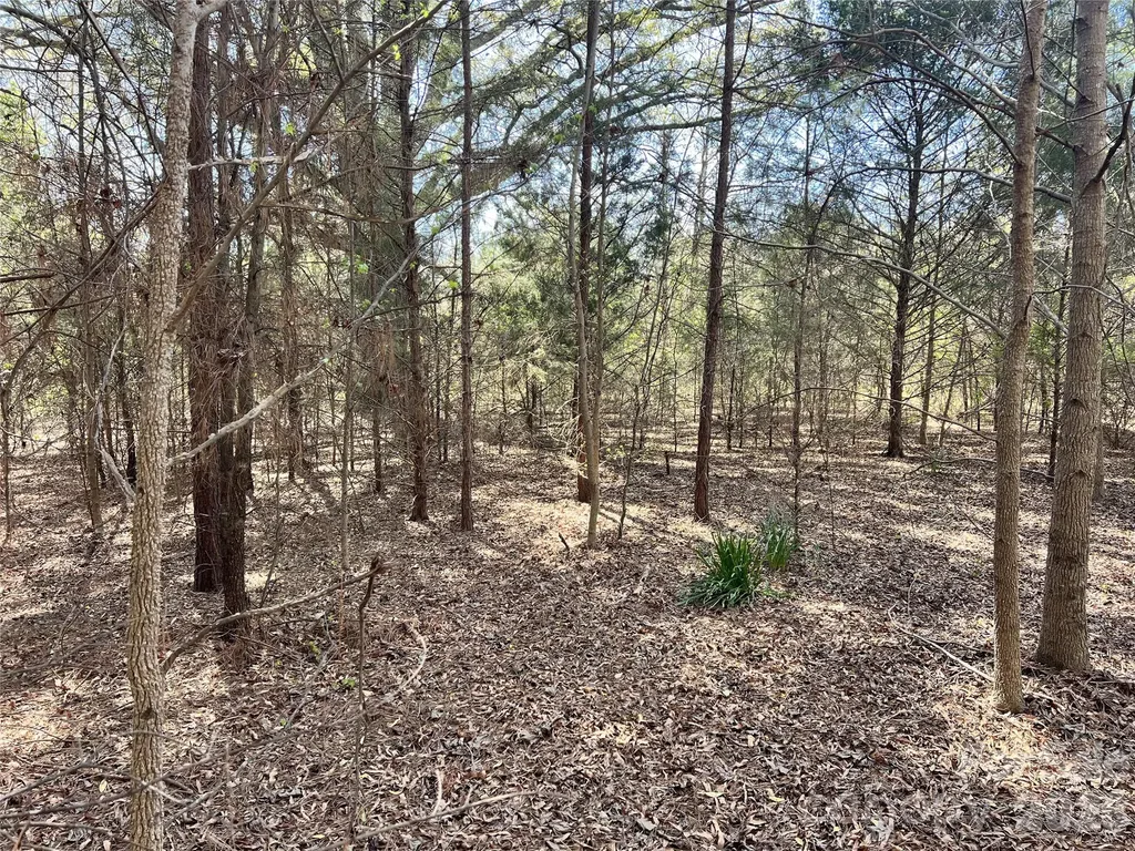 8334 Victoria Lake Drive Waxhaw NC 28173