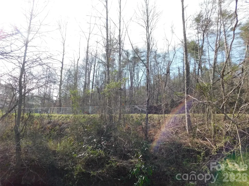 102 Jeff Street Hendersonville NC 28739