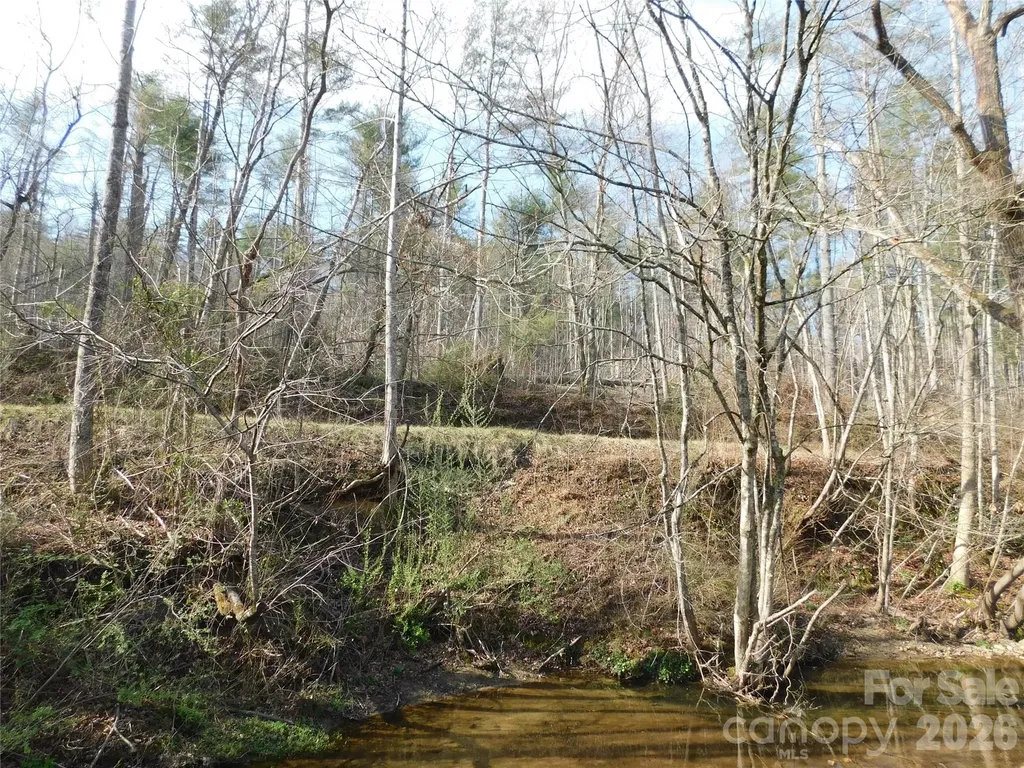102 Jeff Street Hendersonville NC 28739
