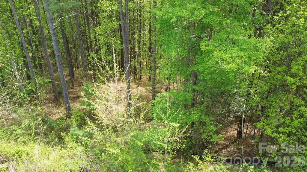 101, 107 Table Rock Trace NW Morganton NC 28655