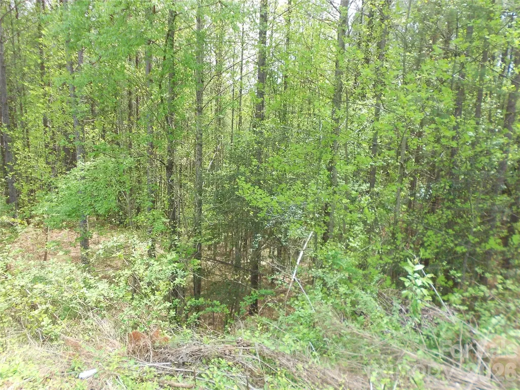 101, 107 Table Rock Trace NW Morganton NC 28655
