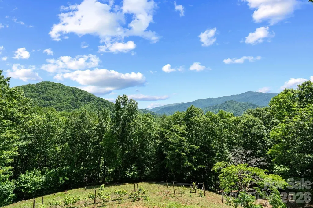 60 Little Creek Drive Canton NC 28716