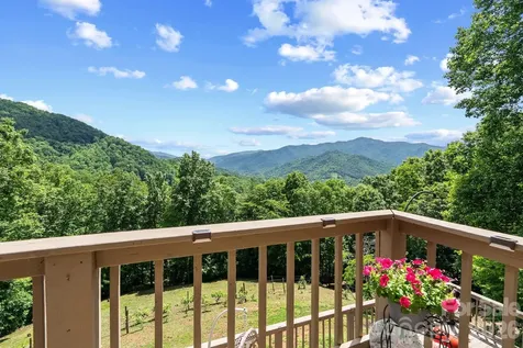 60 Little Creek Drive Canton NC 28716