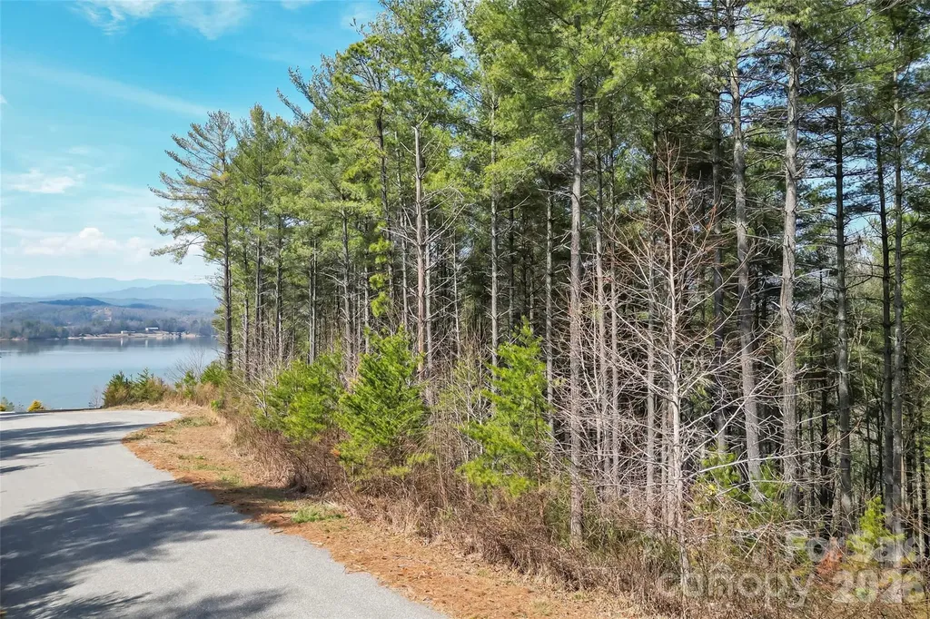 154 West Point Drive Nebo NC 28761