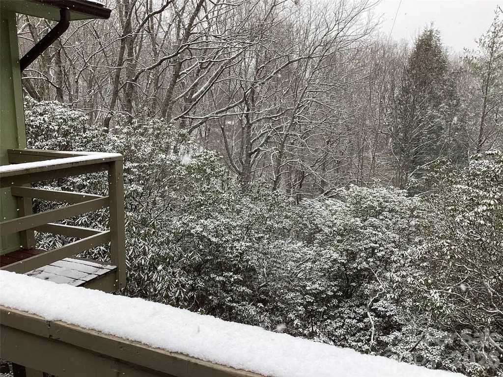 31 Rhododendron Road Black Mountain NC 28711