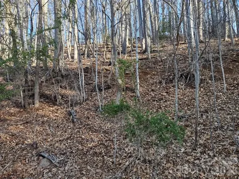 99999 Cedar Drive Mills River NC 28759