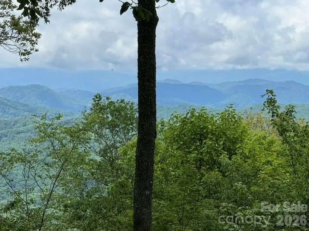 34 Wolfs Head Court Mars Hill NC 28754