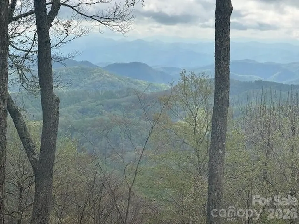 34 Wolfs Head Court Mars Hill NC 28754