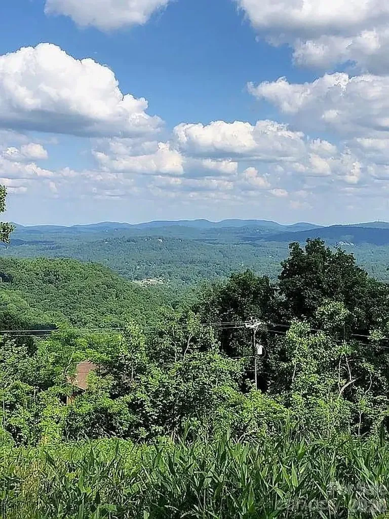 000 Alta Circle Hendersonville NC 28739