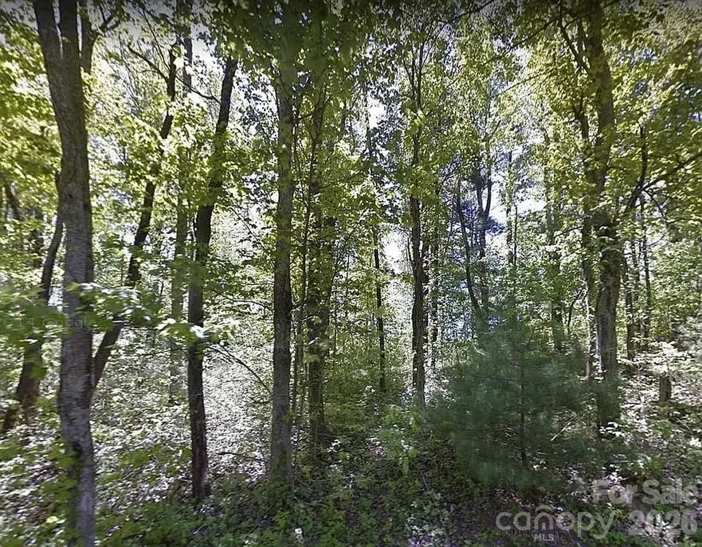 000 Alta Circle Hendersonville NC 28739
