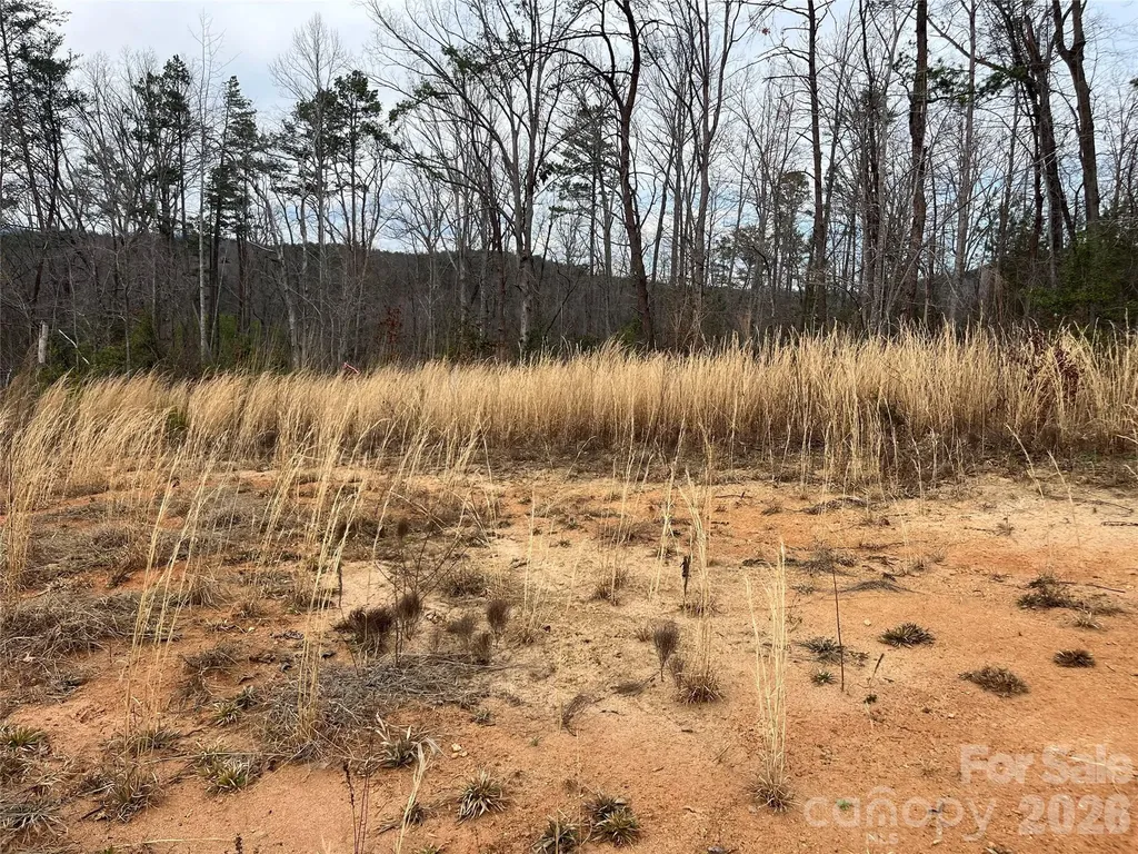 00 Shady Bark Lane Rutherfordton NC 28139