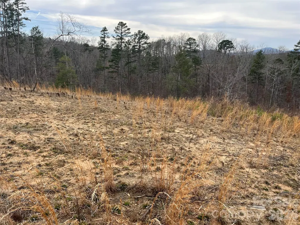 00 Shady Bark Lane Rutherfordton NC 28139