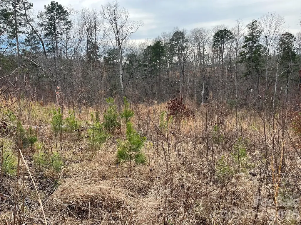 00 Shady Bark Lane Rutherfordton NC 28139