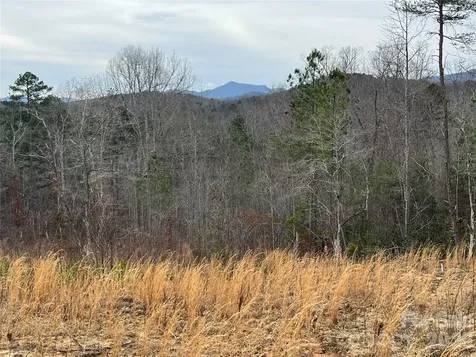 00 Shady Bark Lane Rutherfordton NC 28139