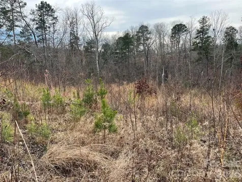 00 Shady Bark Lane Rutherfordton NC 28139
