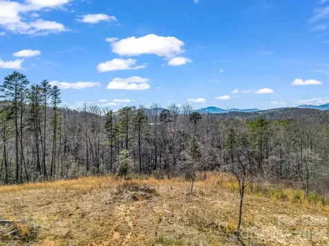 00 Shady Bark Lane Rutherfordton NC 28139