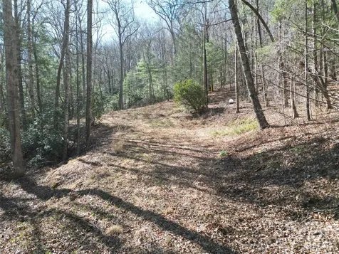 49 Reeds Creek Road Fairview NC 28730