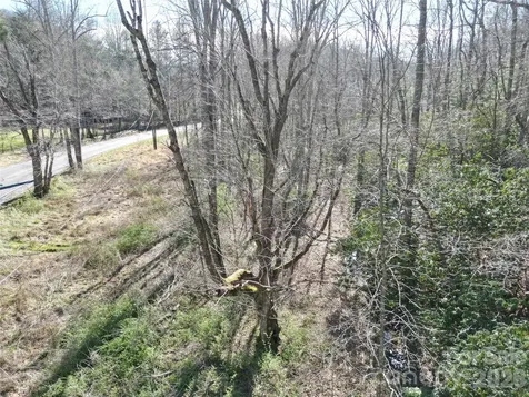 49 Reeds Creek Road Fairview NC 28730