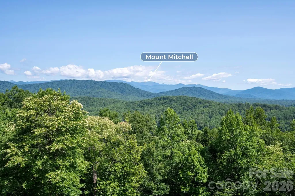 156 Gilliam Road Old Fort NC 28762