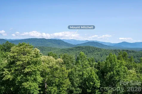 156 Gilliam Road Old Fort NC 28762