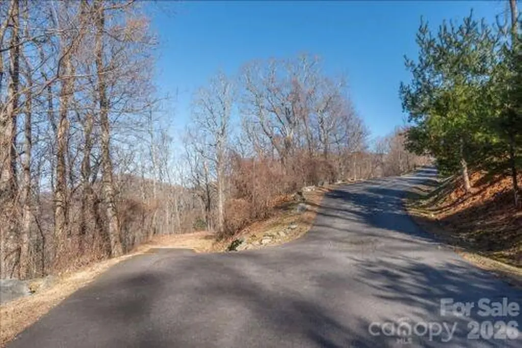 96 Castanea Mountain Drive Asheville NC 28803