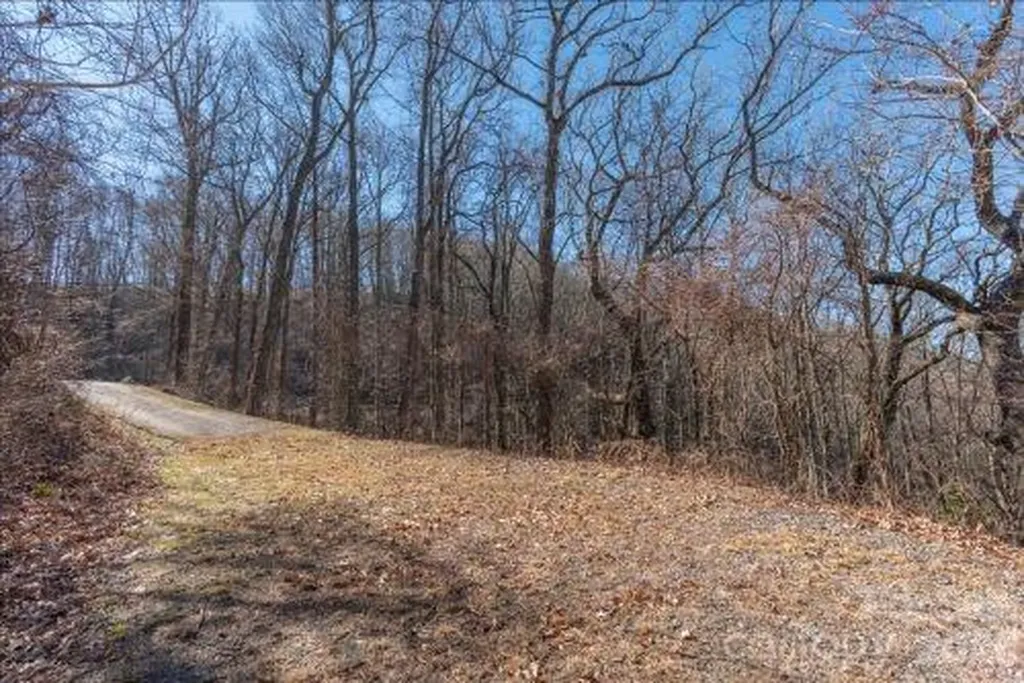 96 Castanea Mountain Drive Asheville NC 28803