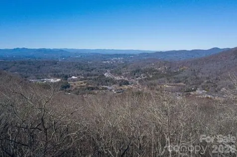 96 Castanea Mountain Drive Asheville NC 28803