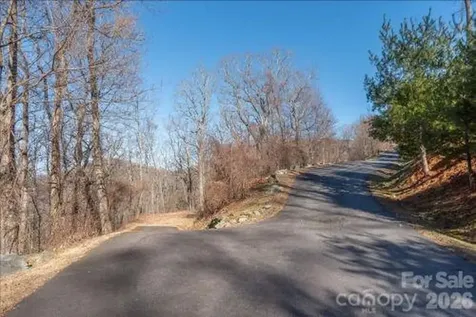 96 Castanea Mountain Drive Asheville NC 28803
