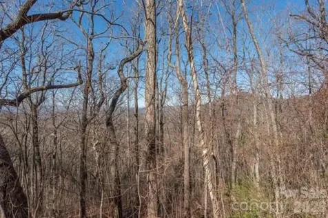 96 Castanea Mountain Drive Asheville NC 28803