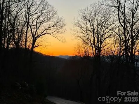 96 Castanea Mountain Drive Asheville NC 28803