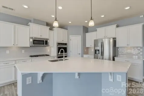 4048 Home Grown Way Lake Wylie SC 29710