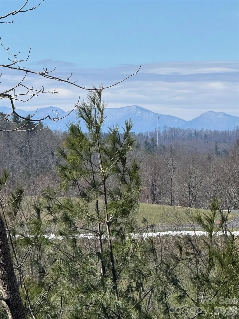 365 Trout Brook Loop Newland NC 28657