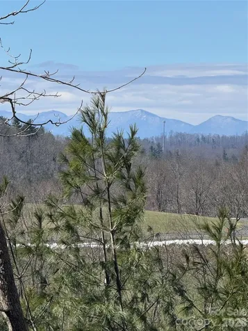 365 Trout Brook Loop Newland NC 28657