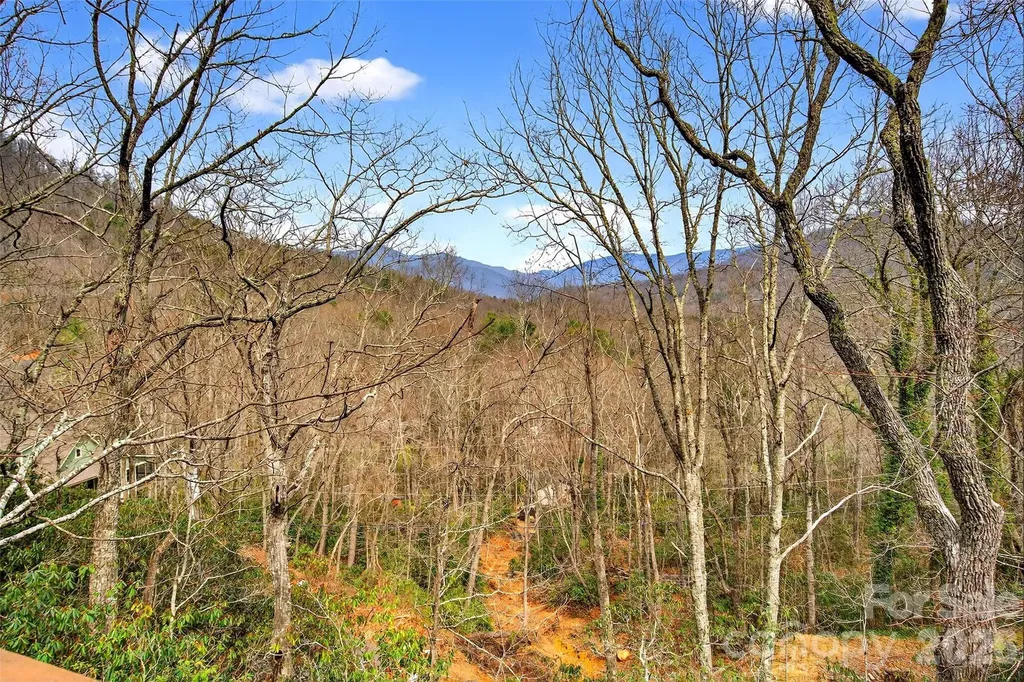 169 Hilltop Road Black Mountain NC 28711
